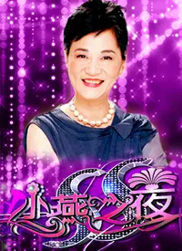 《SS小燕之夜》:经典访谈,见证时代的印记