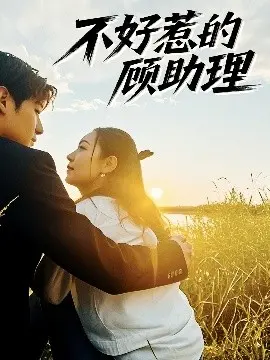 《不好惹的顾助理》:职场女王的反击,谁才是最终赢家?